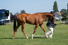 inhand-044