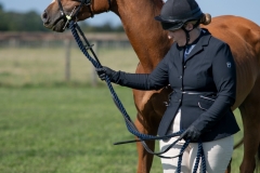 inhand-047