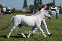 inhand-067