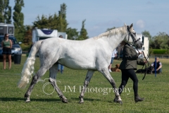 inhand-072