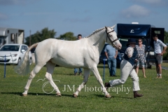 inhand-078