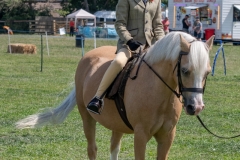 ridden-016