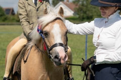 ridden-019