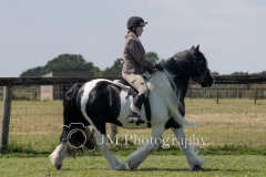ridden-024