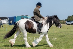 ridden-038
