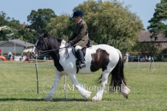 ridden-039