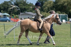 ridden-042