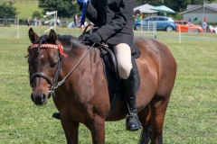 ridden-044