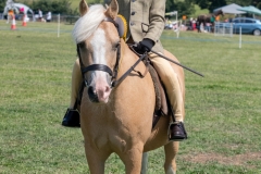 ridden-045