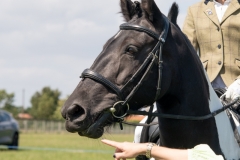 ridden-049