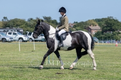 ridden-051