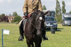 ridden-067
