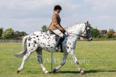 ridden-069