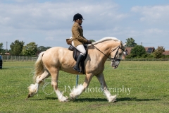 ridden-073