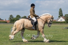 ridden-074