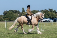 ridden-075