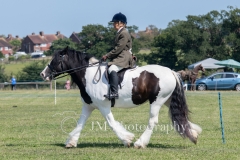 ridden-079