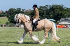 ridden-082