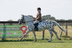 ridden-085