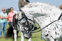 ridden-088
