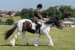 ridden-091