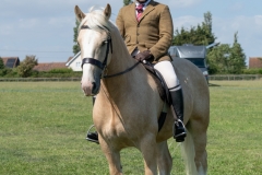 ridden-098