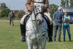 ridden-099