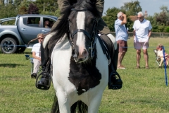 ridden-102