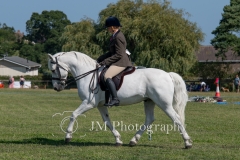 ridden-112