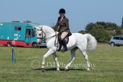 ridden-113