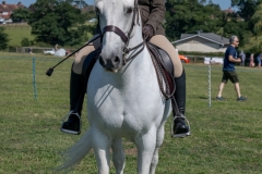 ridden-115