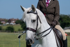 ridden-116