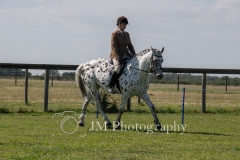 ridden-118