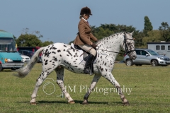 ridden-119