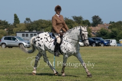 ridden-120