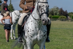 ridden-125
