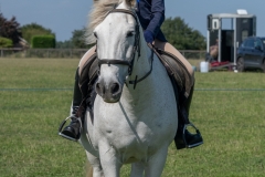 ridden-126