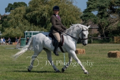 ridden-130
