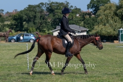 ridden-132