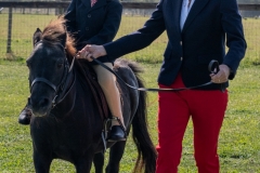 ridden-134