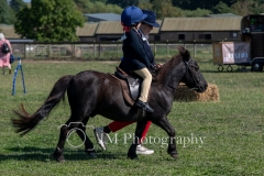 ridden-135