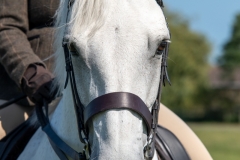 ridden-138
