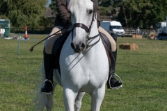 ridden-140