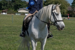 ridden-141