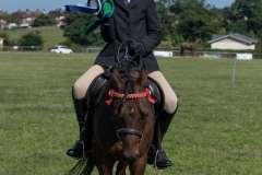 ridden-144