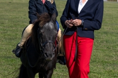 ridden-148