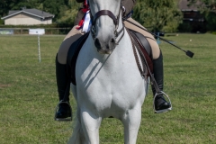 ridden-151
