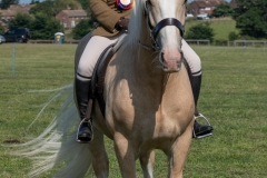 ridden-152